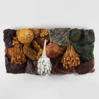 <a href=https://www.galeriegosserez.com/gosserez/artistes/l-c-lab.html> L&C Lab</a> - Biomater